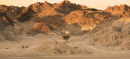 Sinai Desert